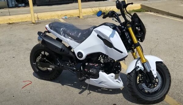 5 Best Honda Grom Clone Worthy Buying Your Motor Geek